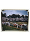 Bowman Gray Stadium Framed Collage with Authentic Guardrail - Zoomed in Bowman Gray Image View